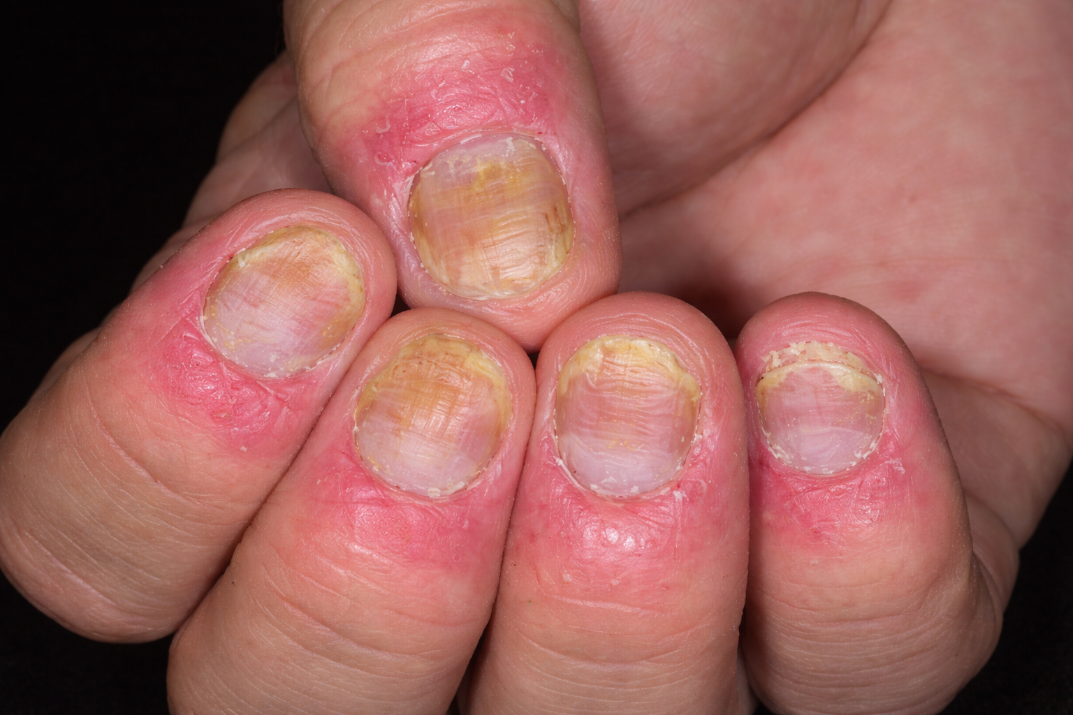 ChatGPT Image 08_12_23 16 thg 4, 2026.png